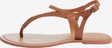 Next Varvastossut 'Forever Comfort' värissä ruskea: etupuoli