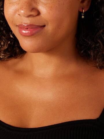 Boucles d'oreilles 'Stern' Lucardi en or : devant