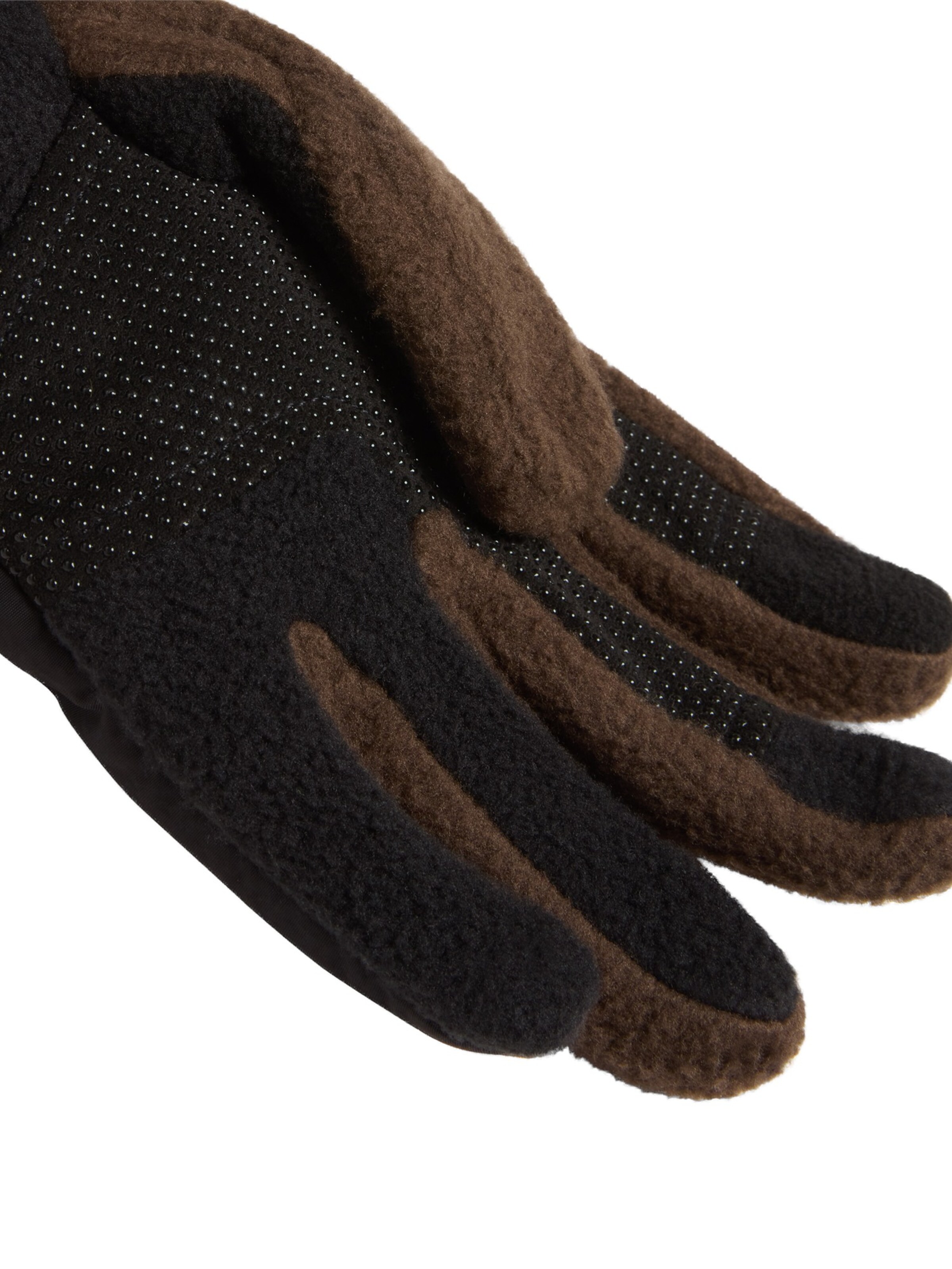 THE NORTH FACE Sõrmikud 'Glove', värv pruun