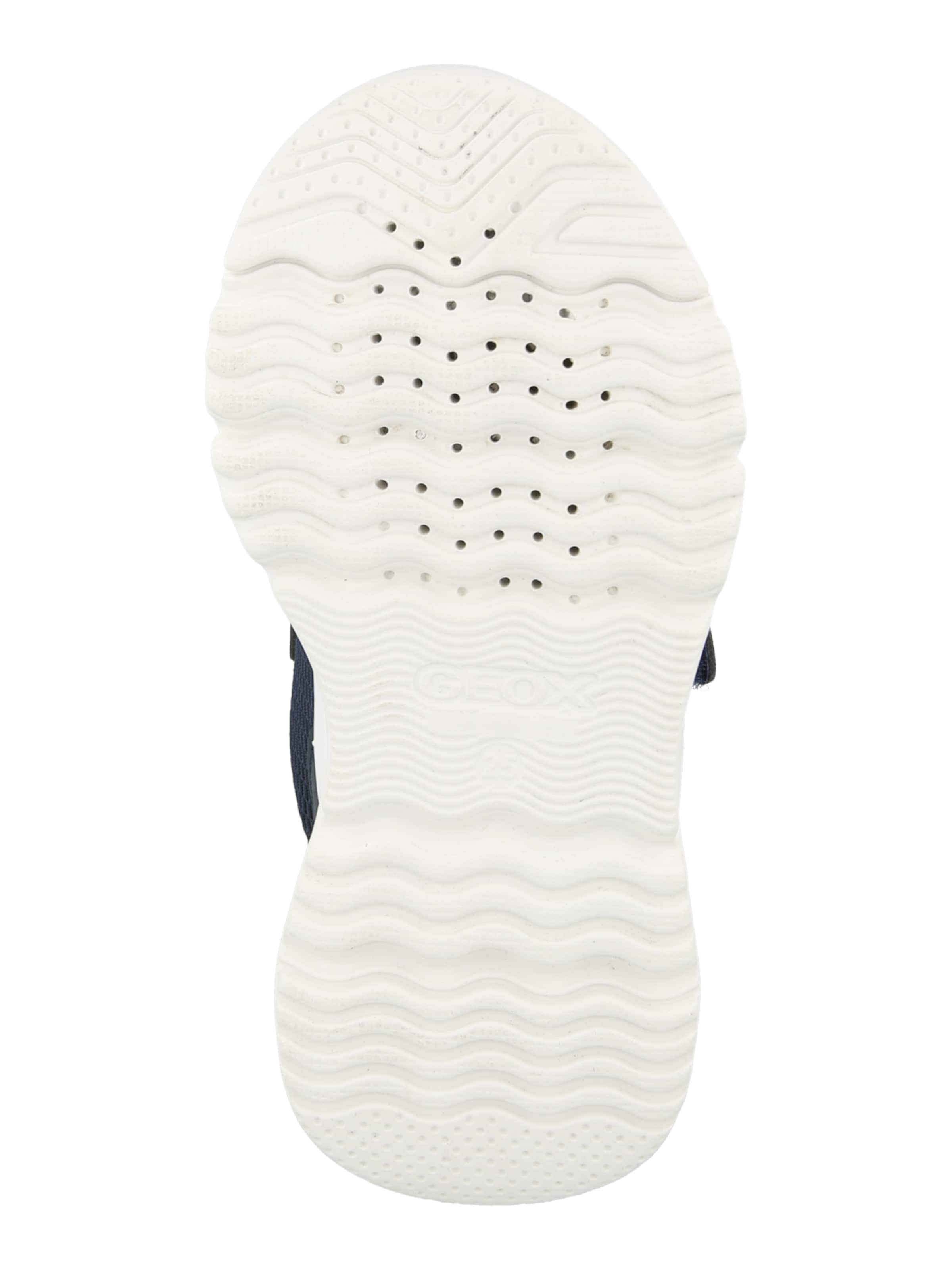 zils GEOX Brīvā laika apavi 'Loftus'