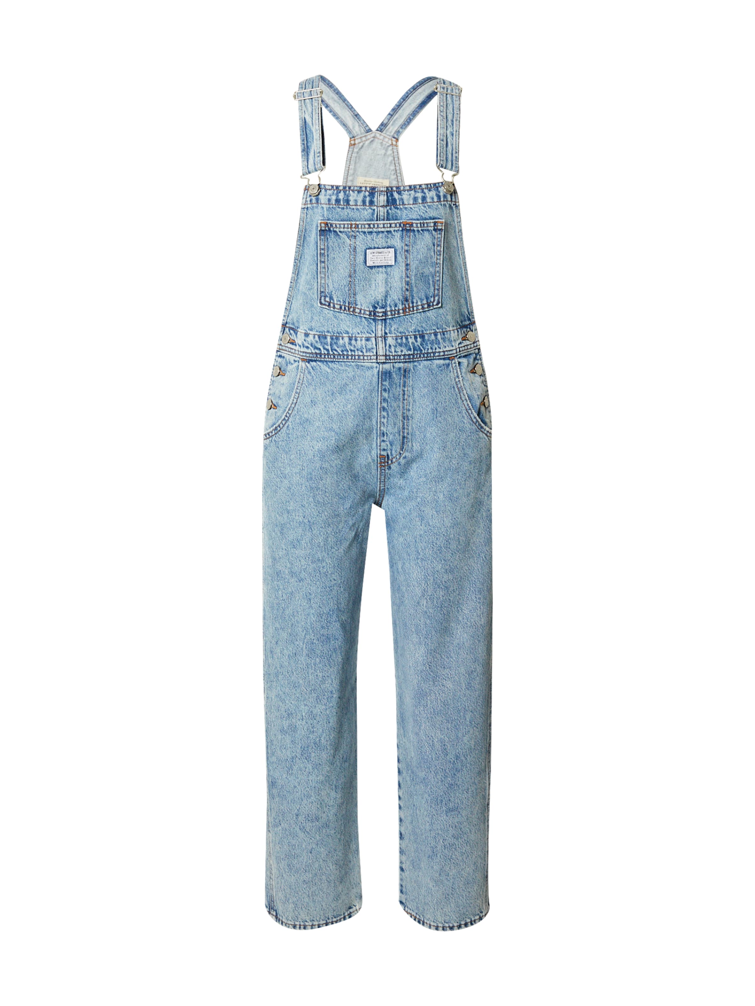 LEVI'S ® Regular Dungaree jeans 'Vintage Overall' in Blue: front