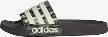 brūns ADIDAS PERFORMANCE čības 'Adilette': no priekšpuses