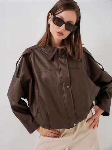 Veste d’hiver 'Jacken' Bigdart en marron
