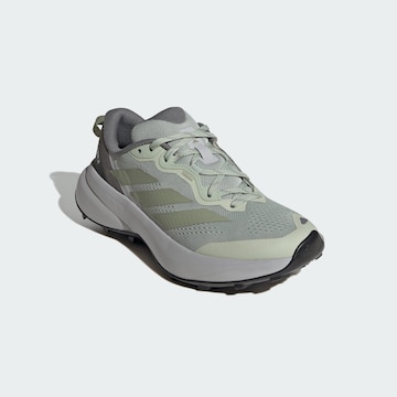 ADIDAS TERREX Loopschoen 'Tracefinder Plus' in Grijs