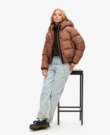 Superdry Tussenjas in Bruin