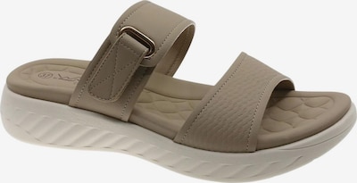 Beppi Hausschuh 'Casual Slipper' in 36 in taupe, Produktansicht