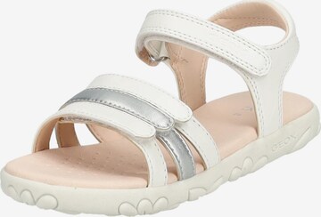 GEOX Sandalen in Wit: voorkant