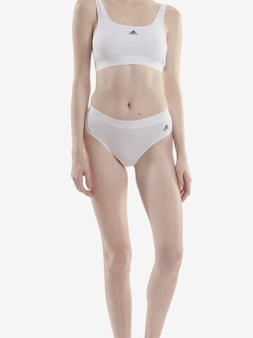 ADIDAS SPORTSWEAR Bralette Sports Bra ' Sport Solid Cotton ' in White