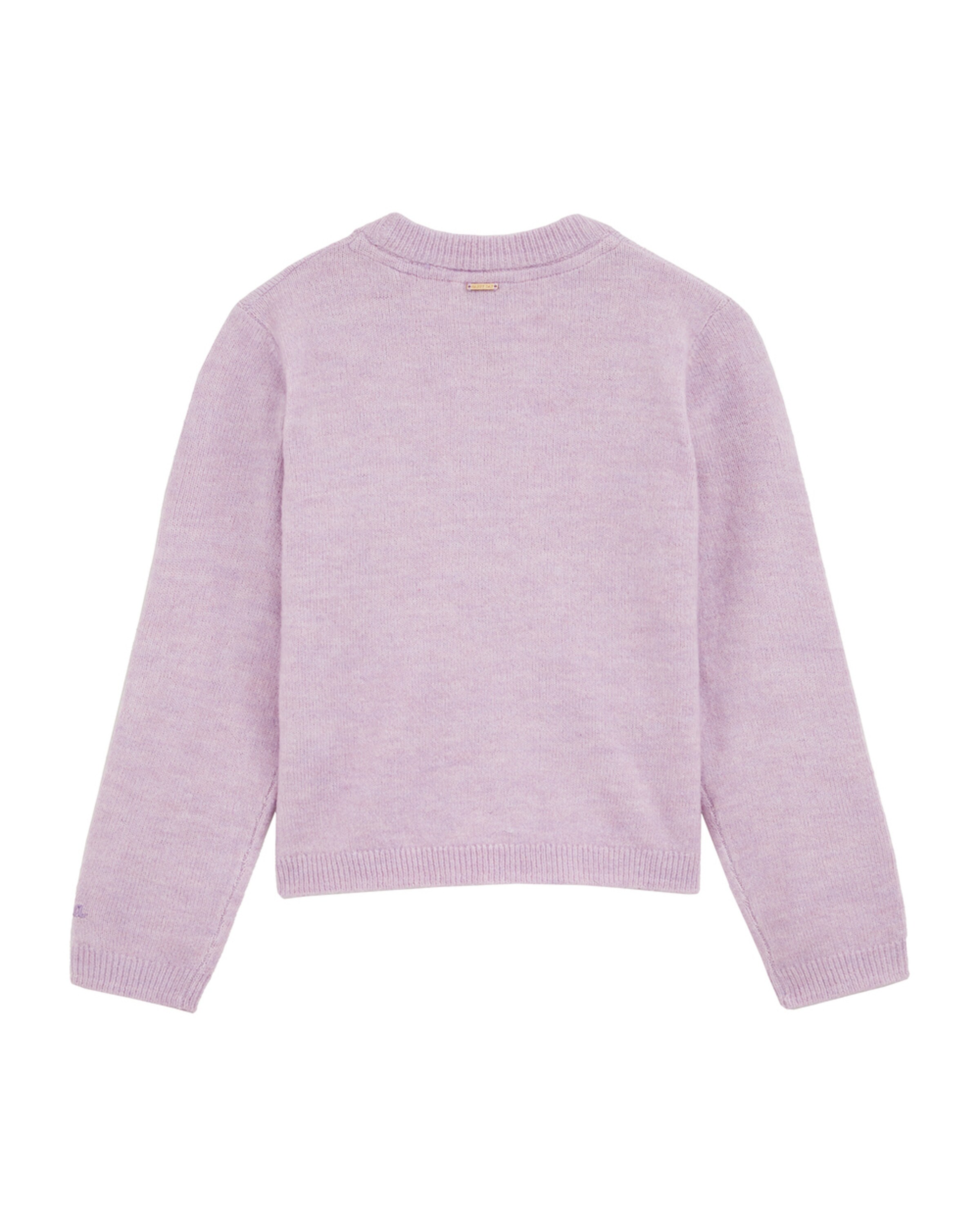 WE Fashion Sweater in Purple