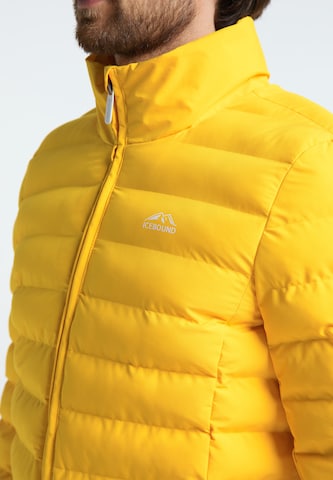 ICEBOUND - Chaqueta de invierno en amarillo