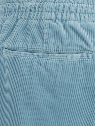 Polo Ralph Lauren Big & Tall Regular Pants in Blue