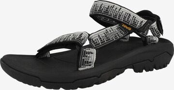 TEVA Hiking Sandals in Black: front