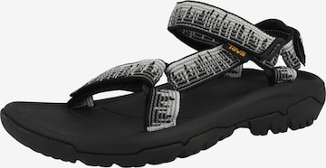 Sandales de randonnée TEVA en noir : devant