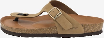 ROHDE T-Bar Sandals 'Alba' in Beige: front