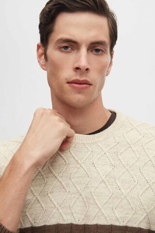 D’S Damat Pullover in Braun