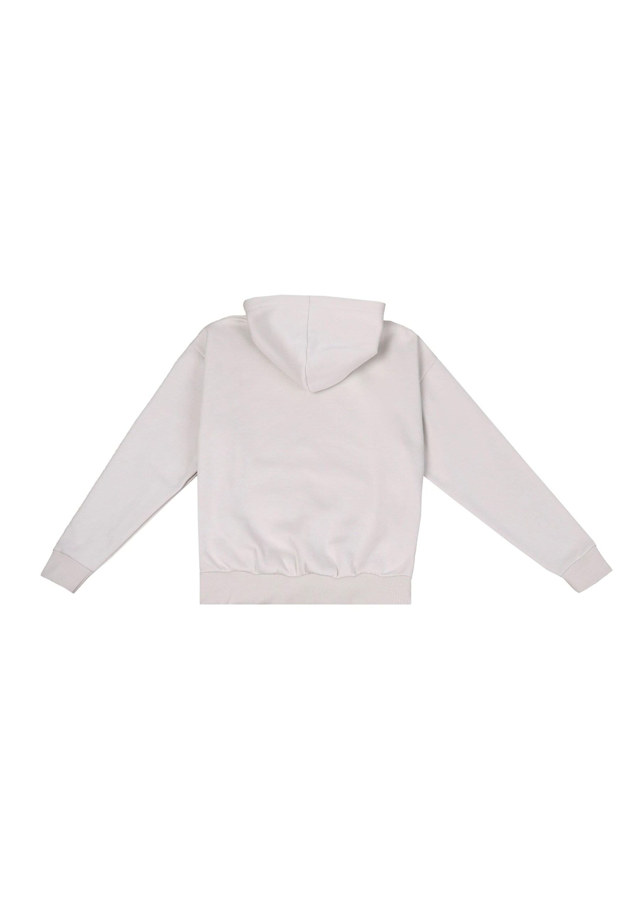 Sweat-shirt 'Embo' Dropsize en gris