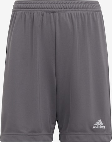 Regular Pantalon de sport 'Entrada 22' ADIDAS PERFORMANCE en gris : devant