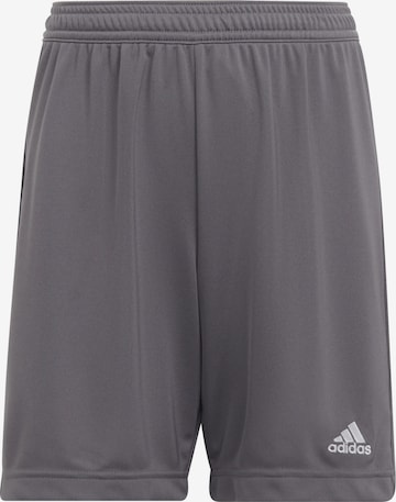 ADIDAS PERFORMANCE Regular Workout Pants 'Entrada 22' in Grey: front