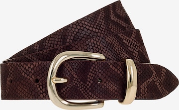 VANZETTI Vyö värissä ruskea: etupuoli