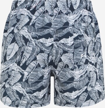 TOM TAILOR Badeshorts 'Collin' in Blau