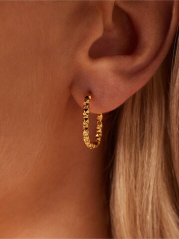 Boucles d'oreilles Lucardi en or : devant