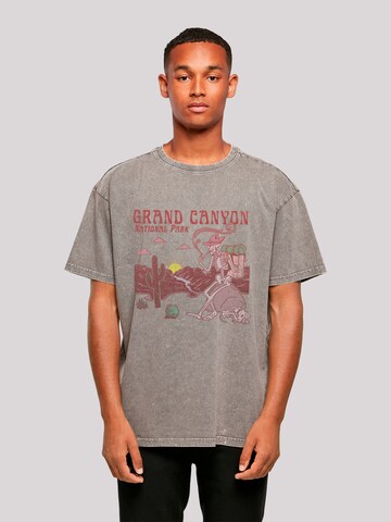 F4NT4STIC Shirt in Grey: front