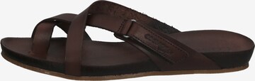 COSMOS COMFORT T-Bar Sandals in Brown: front