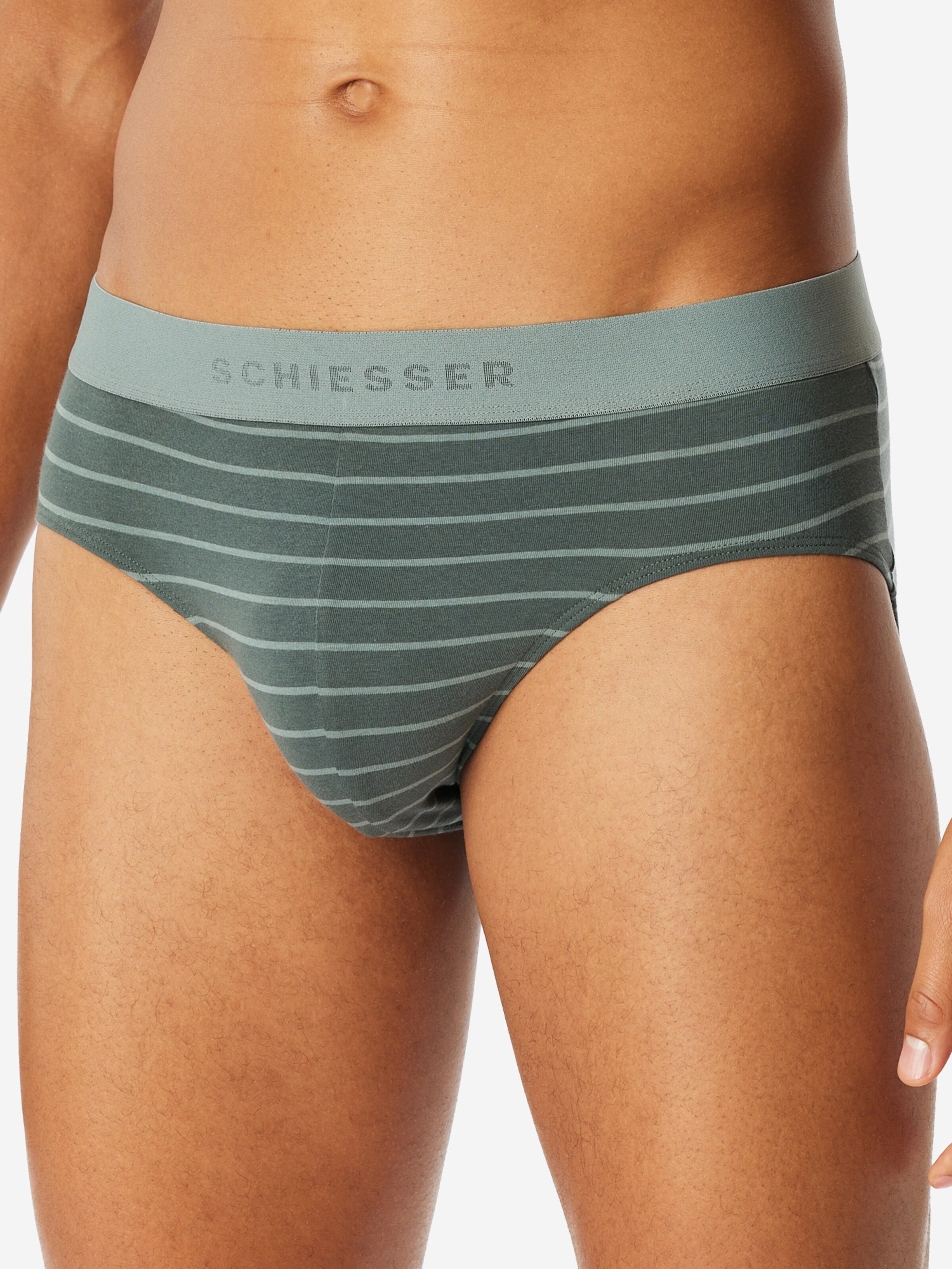 SCHIESSER - Braga ' 95/5 Organic Cotton ' en Mezcla de colores: frente