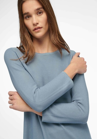 Peter Hahn Pullover in Blau