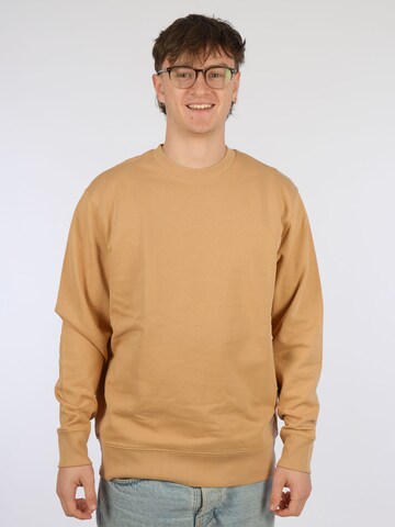 glore Sweatshirt 'Raiiner' in Braun: Vorderseite
