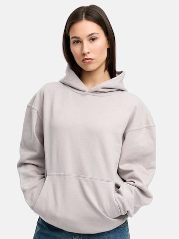 Daily Cotton Sweatshirt 'DCTERUEL' in Grey: front