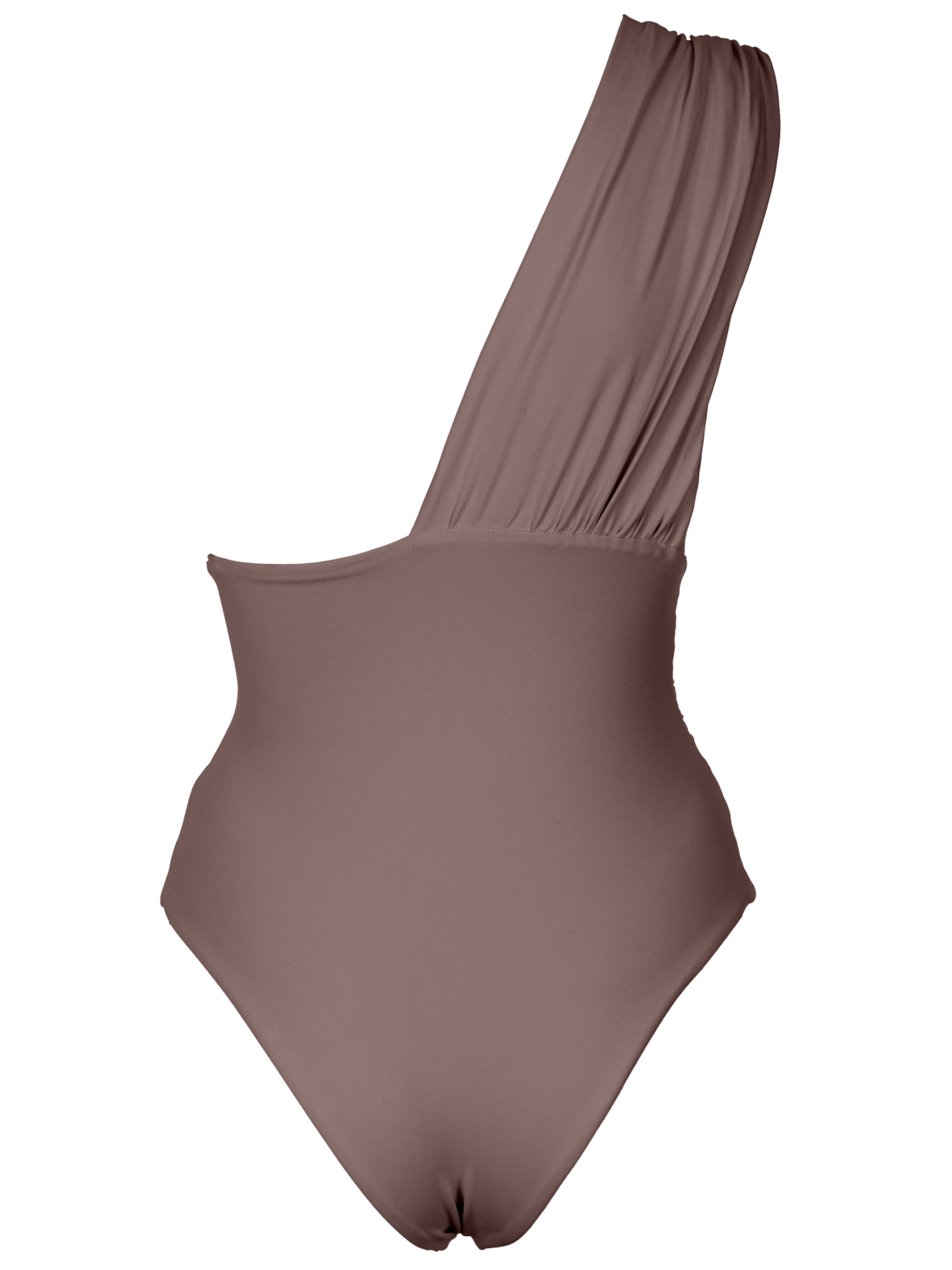 SEA ME SWIM Badeanzug 'MONACO'‌‌‌‌‌‌‌‌‌‌ in Braun