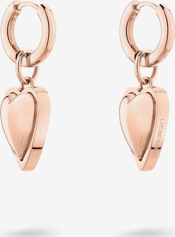 Liebeskind Berlin Earrings 'Heart' in Gold: front