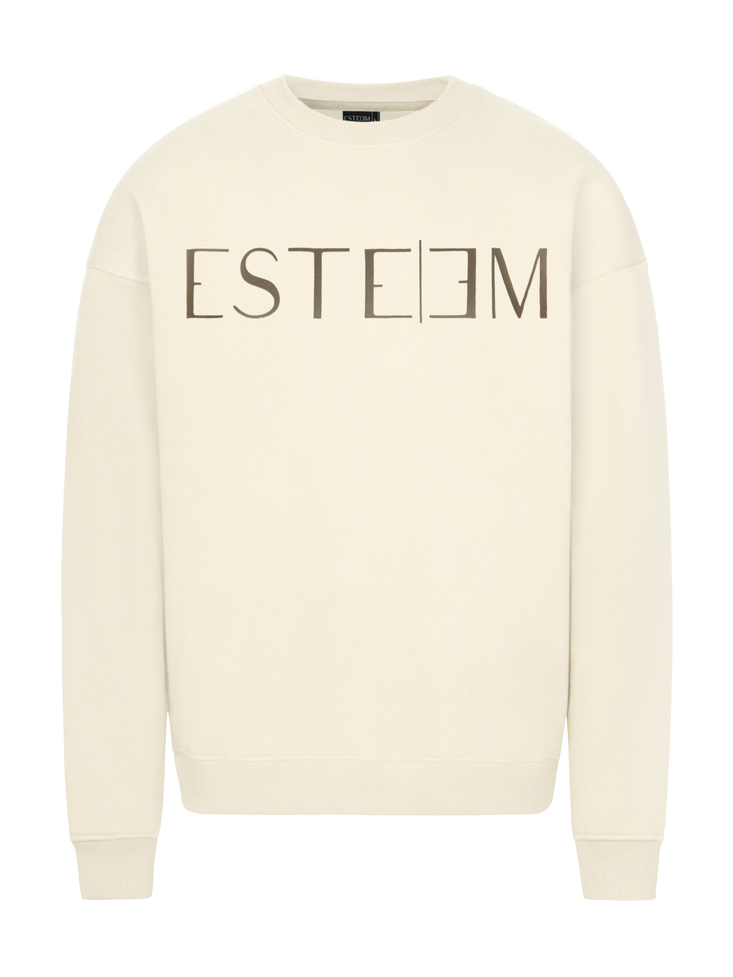 ESTEEM Sweatshirt i beige: forside