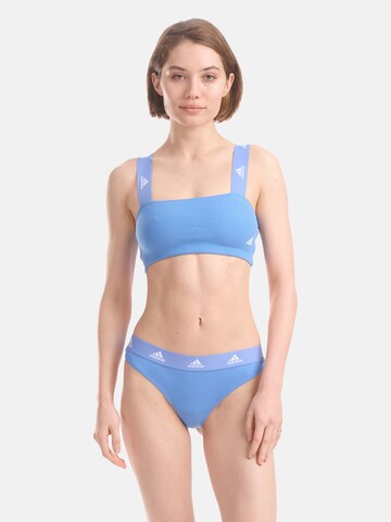 ADIDAS ORIGINALS Bralette Bra ' Bandeau ' in Blue: front