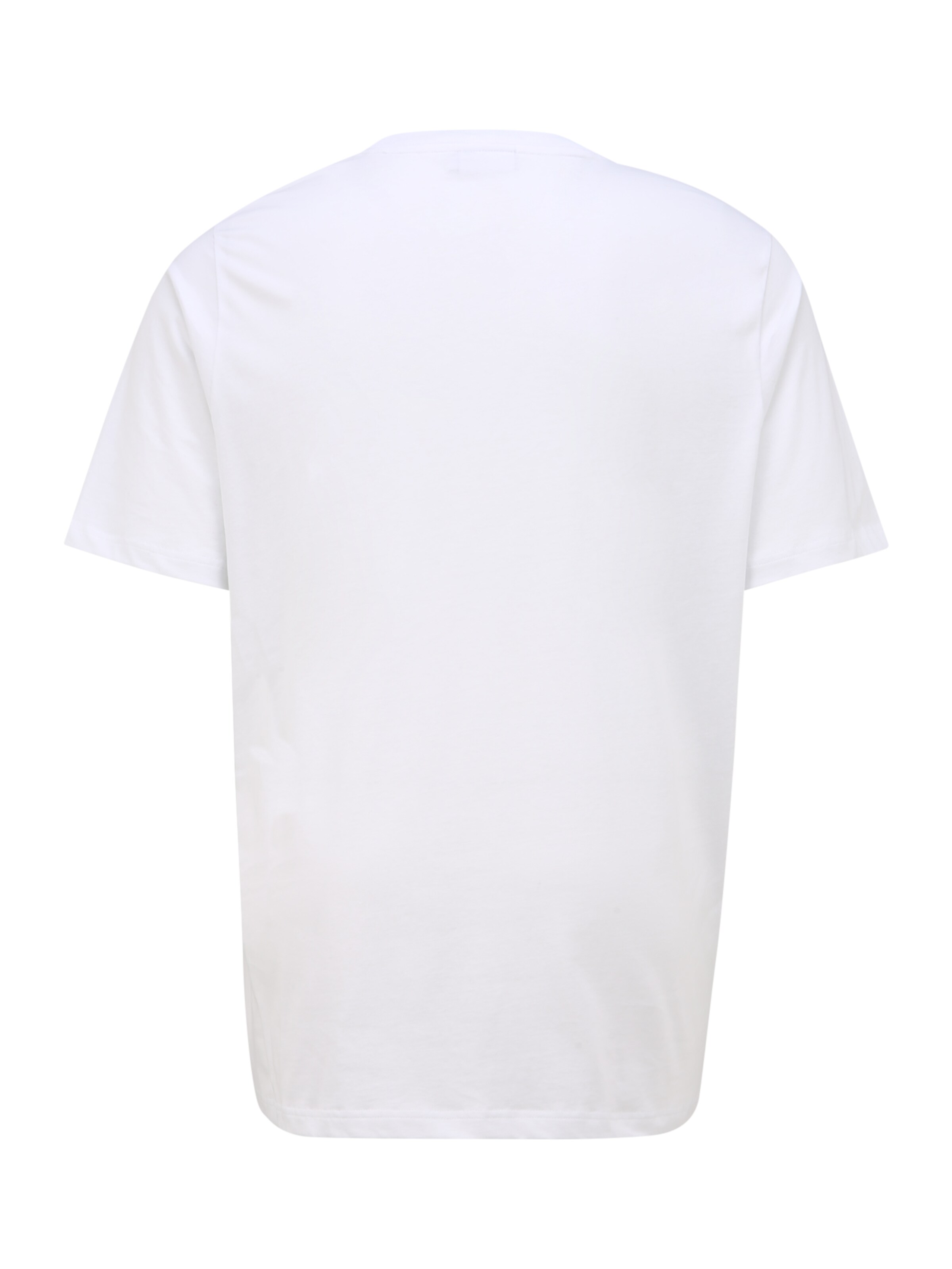 Più sostenibile Abbigliamento Calvin Klein Big & Tall Maglietta in Bianco 