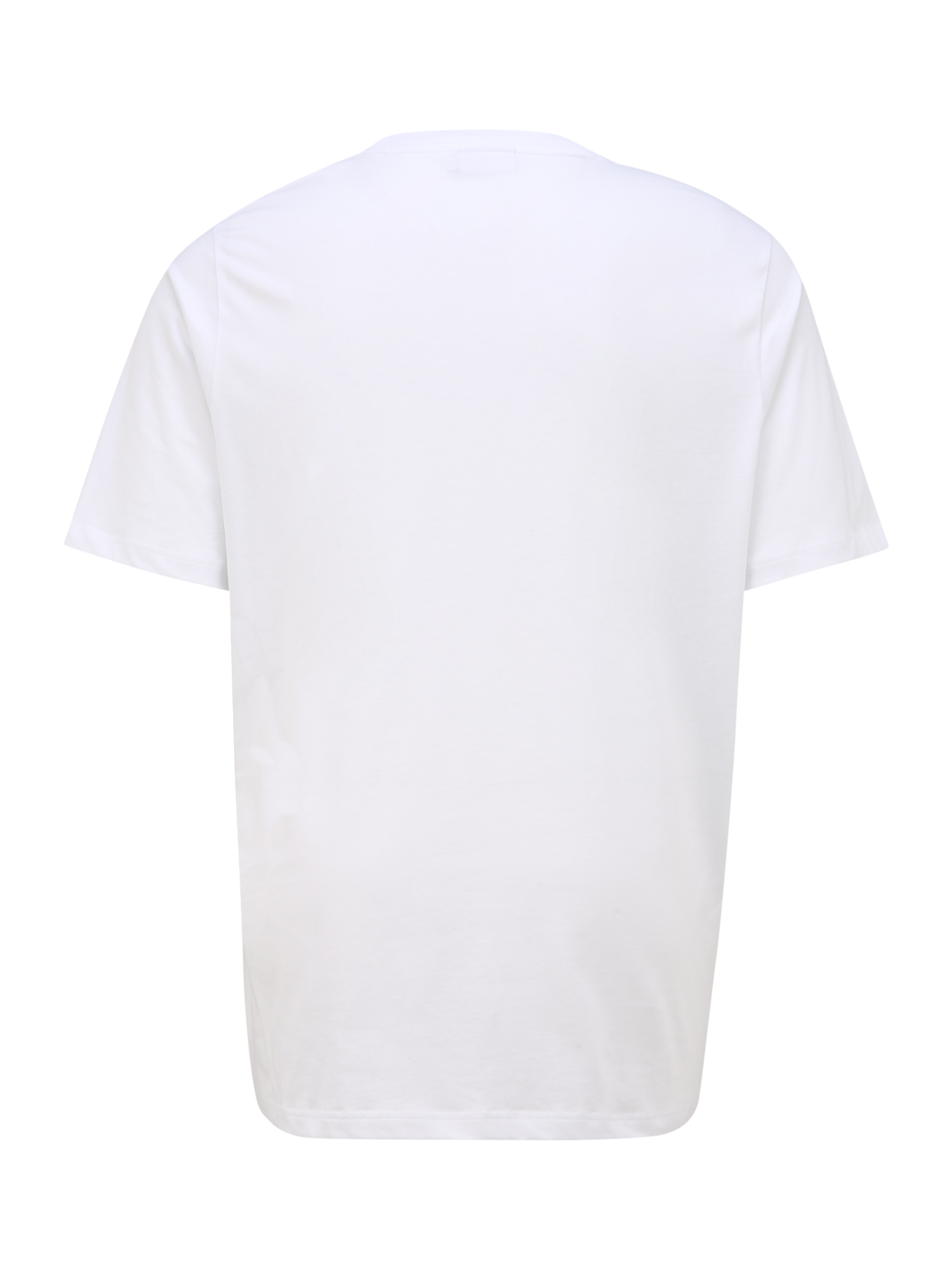 Abbigliamento Più sostenibile Calvin Klein Big & Tall Maglietta in Bianco 