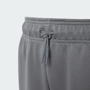 Loosefit Pantaloni sportivi 'Z.N.E.' di ADIDAS SPORTSWEAR in grigio