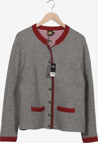 HAMMERSCHMID Sweater & Cardigan in L in Grey: front