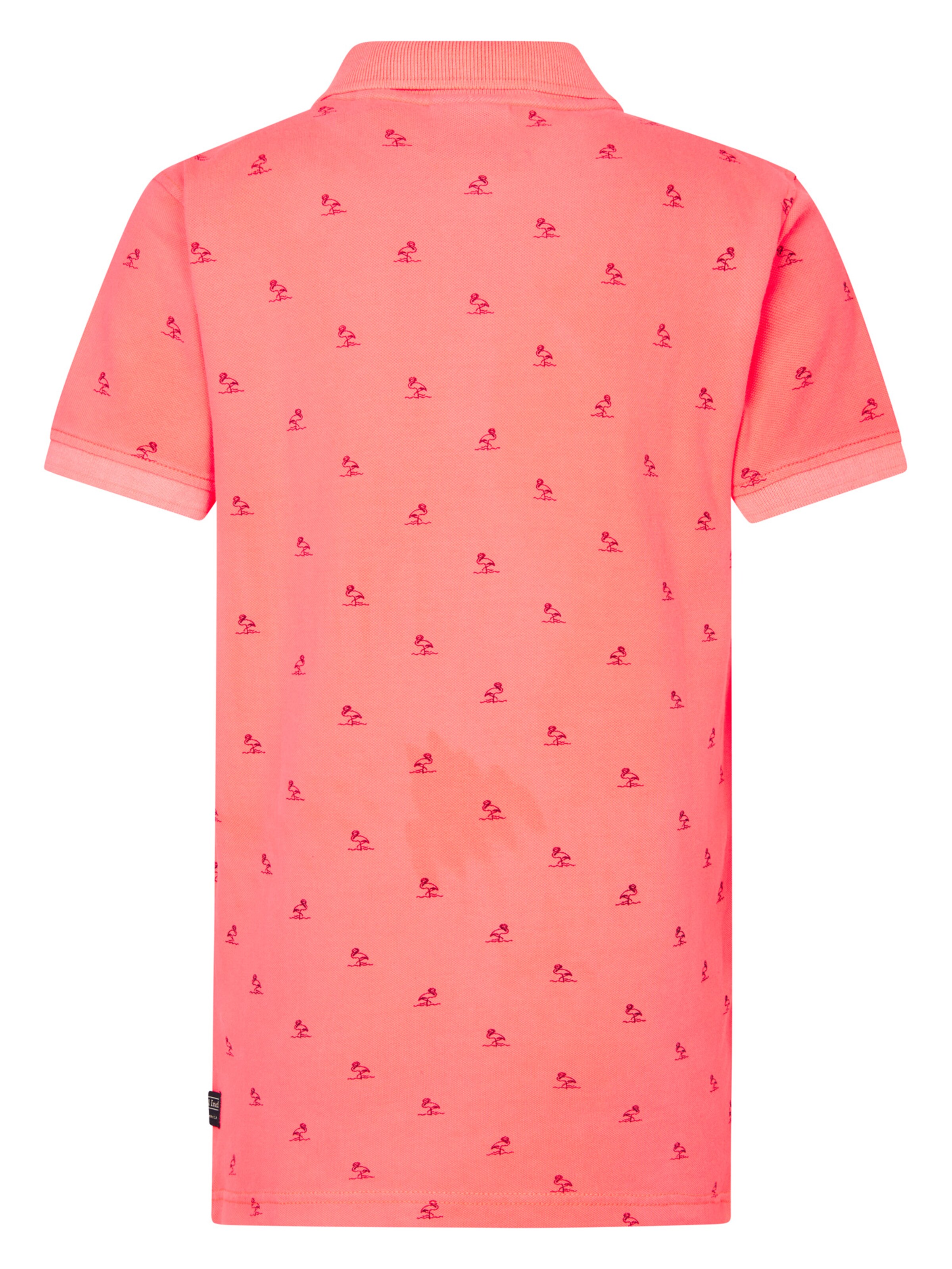 Petrol Industries Poloshirt 'Marigold' in Pink