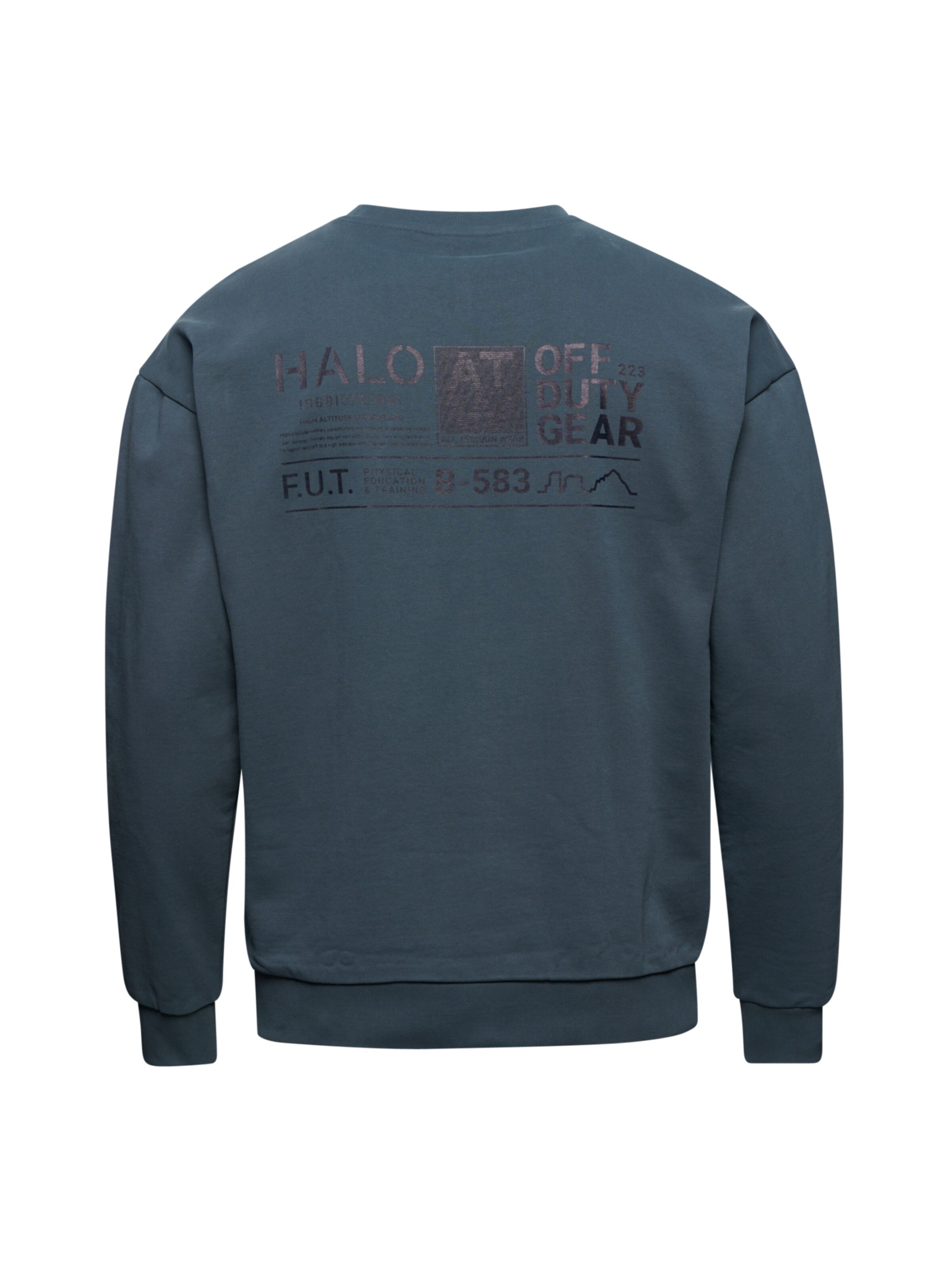 HALO Sweatshirt in Blauw