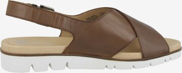 GERRY WEBER SHOES Sandals 'Gulla 01' in Brown