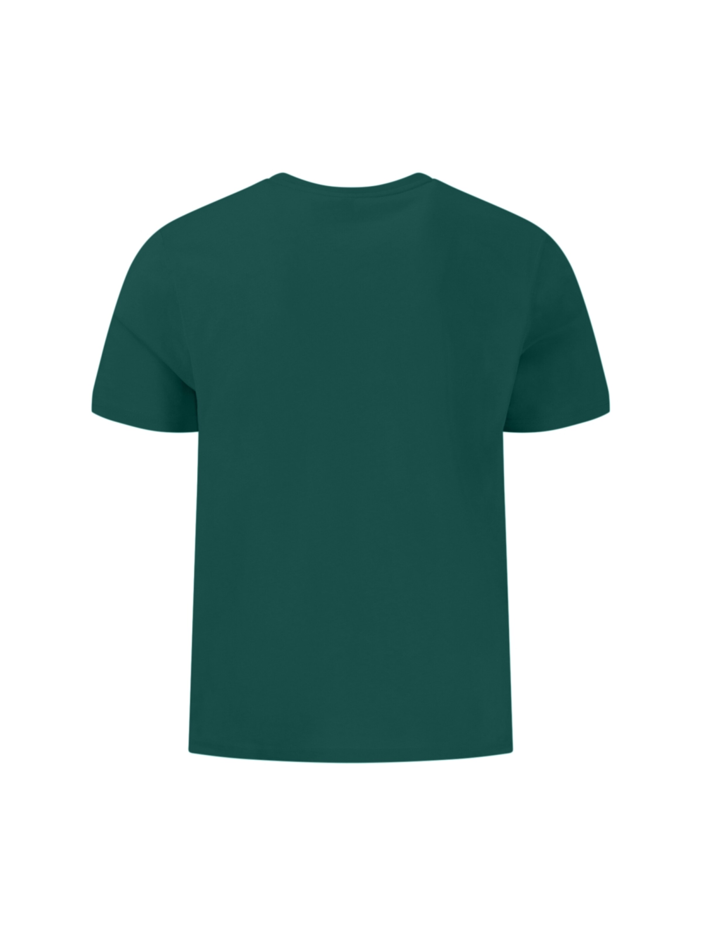 Fynch Hatton Shirt 'T-shirt, basic, single jersey pine green'‌‌‌‌‌‌‌‌ in Grün