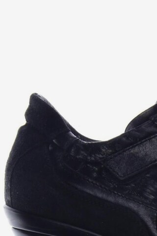Baldinini High Heels & Pumps in 38 in Black