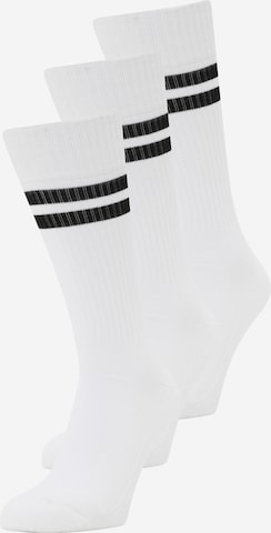 FALKE Sportsockor 'Dynamic' i vit: framsida
