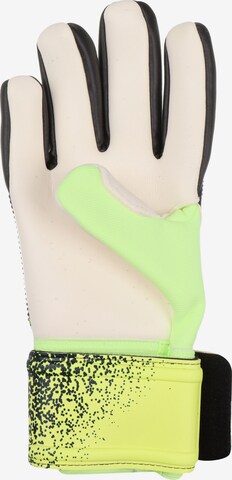 PUMA Athletic Gloves 'Future' in Green