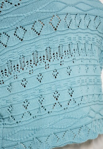 Usha Pullover in Blau