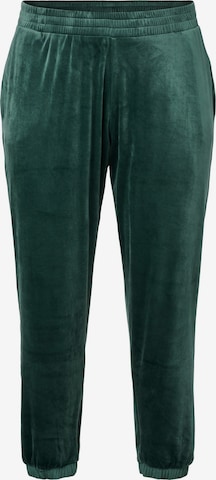 Pantalon 'Helena' Zizzi en vert : devant