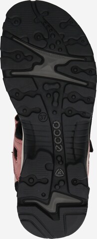 ECCO Trekingové sandály 'Offroad' – pink