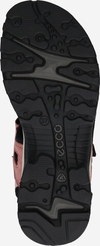 Sandales de randonnée 'Offroad' ECCO en rose